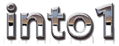 into1 logo
